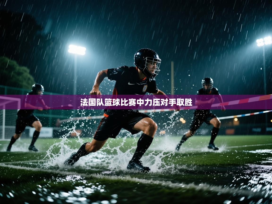 法国队篮球比赛中力压对手取胜 第2张