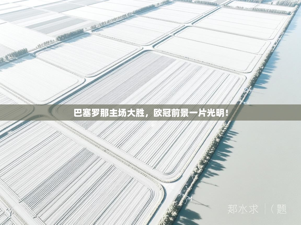 巴塞罗那主场大胜，欧冠前景一片光明！  第2张